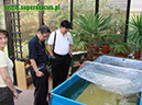 %_tempFileNameDSC08824%