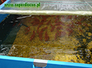 %_tempFileNameDSC09151%